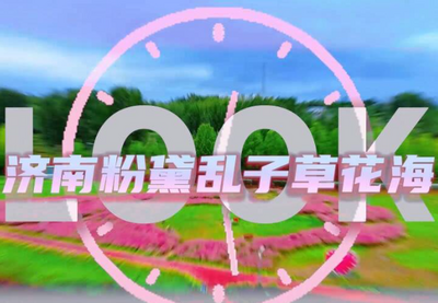 拿捏秋日氛围感？PG电子这些免费花海，教你轻松圈“粉”！