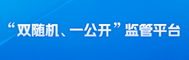 “双随机、一公开”监管平台