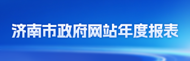 2025年PG电子政府网站年度报表